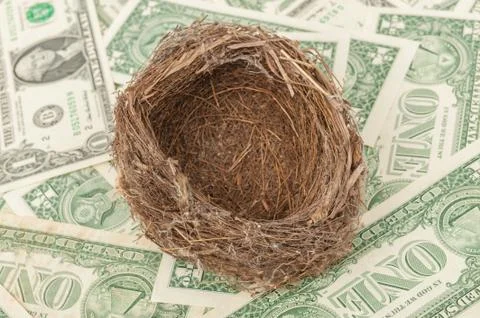 Bird nest Stock-Fotos