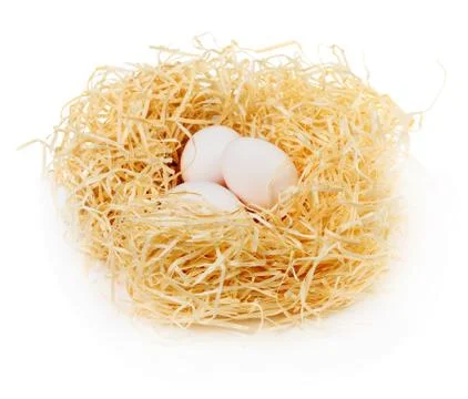 Bird nest Stock Photos