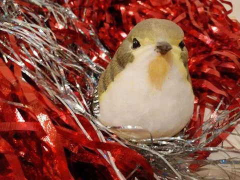 Bird in the nest Stock Photos