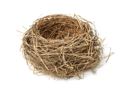 Bird nest Stock Photos