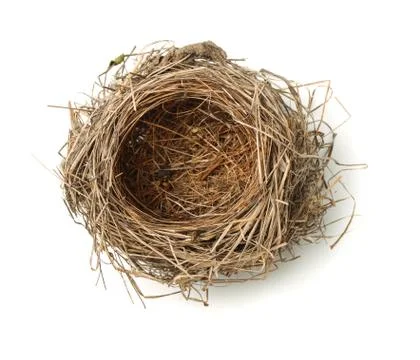 Bird nest Stock Photos