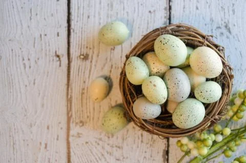 Bird Nest With Speckled Eggs.  Easter Composition. 스톡 사진