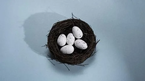 Bird nest with two eggs Fotos Stock