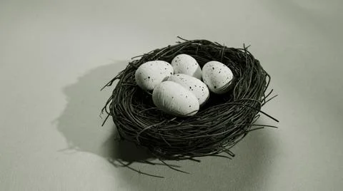 Bird nest with two eggs Foto stock