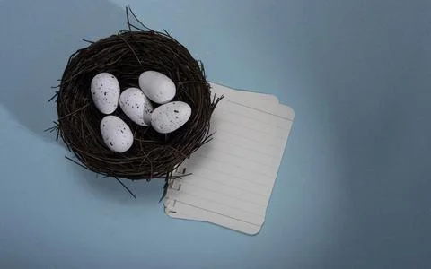 Bird nest with two eggs Stock Photos