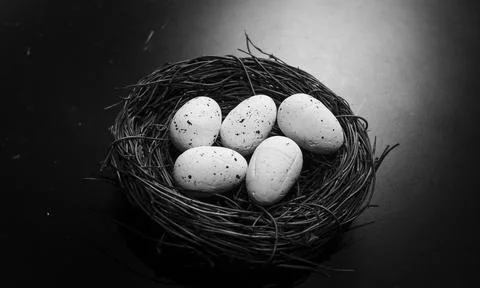 Bird nest with two eggs Фото