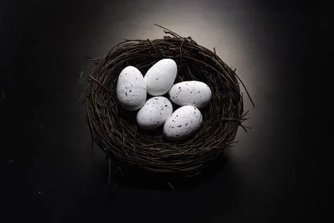 Bird nest with two eggs Stock Photos