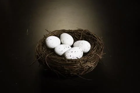 Bird nest with two eggs Stock Photos