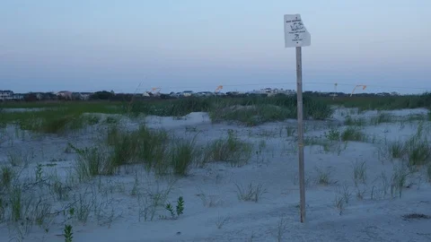 Bird Nesting Area at North Topsail Island Stock Footage 108735021