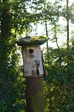 Bird nesting box Stock Photos