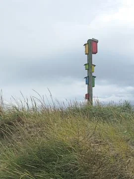 Bird nesting box on pole Stock Photos