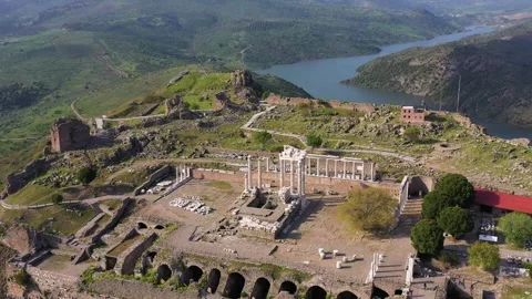 Bird nesting inside ancient columns Stock Footage 292733516
