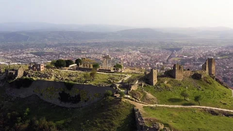Bird nesting inside ancient columns Stock Footage 292733596