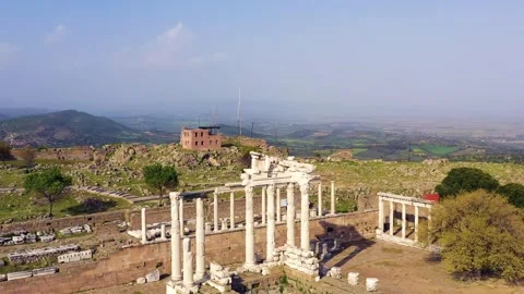 Bird nesting inside ancient columns Stock Footage 292733612