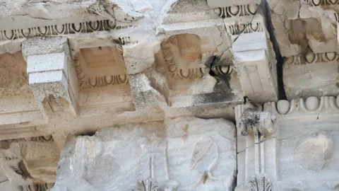 Bird nesting inside ancient columns Stock Footage 302899867