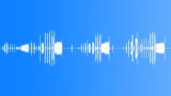 BIRD, NIGHTINGALESound Effect