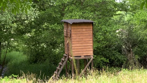 Bird observation cabin in a forest Stock Footage 246787594