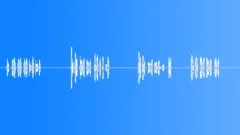 BIRD, ORIOLESound Effect
