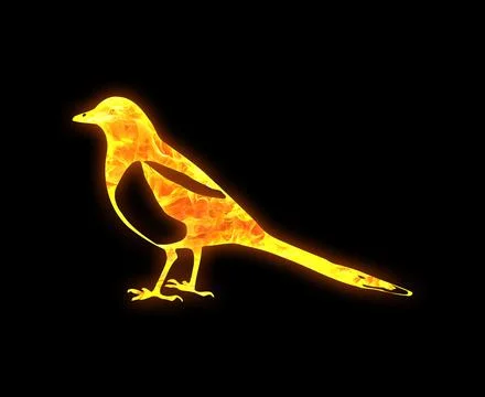 Bird outline with a bright fire pattern isolated on a black background Stock Photos
