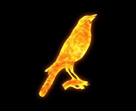 Bird outline with a bright fire pattern isolated on a black background 스톡 사진
