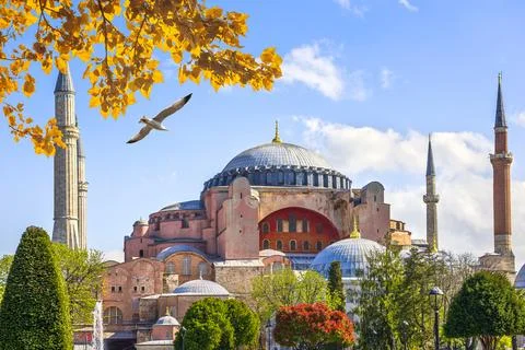Bird over mosque Stock Photos