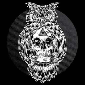 Bird Owl Skull Black Vector Illustration Stock Illustration