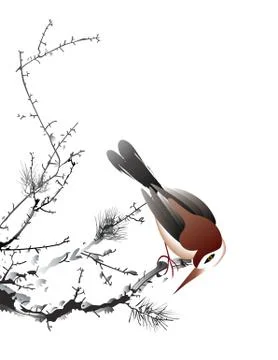 Bird painting Stock Illustration