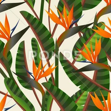 Bird of the paradise flower pattern Stock Illustration