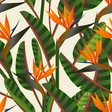 Bird of the paradise flower pattern Stock-Illustration