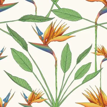 Bird of the paradise flowers seamless pattern Illustrazione stock