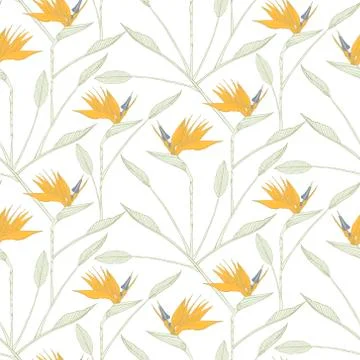 Bird of the paradise flowers seamless pattern Stock Illustration