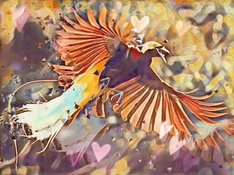 Bird of paradise Stock Footage 167296712