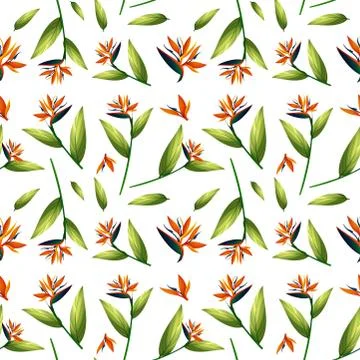Bird of paradise seamless pattern Stock Illustration