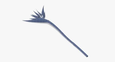 3d Model: Bird Of Paradise - Single Laying #90886371 