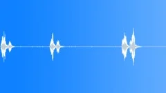 BIRD PARROT INDIAN RINGNECK CHIRP SEQUENCE06 Sound Effect