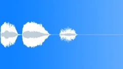 BIRD, PARROT Sound Effect