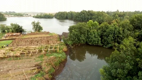 Bird passing over Wouri river Stock Footage 80592040