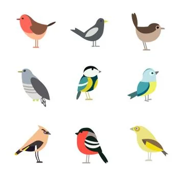 Bird pattern flat illustration on white イラスト素材