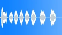 BIRD PEACOCK CALL02 Sound Effect