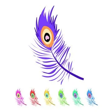 Bird peacock feather vector cartoon graphic Stock Illustration