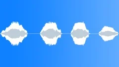 BIRD, PEACOCKSound Effect