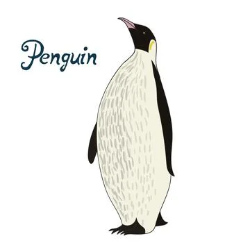 Bird penguin vector illustration Illustrazione stock