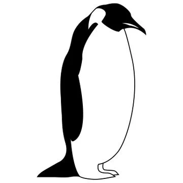 Bird penguin vector logo, arctic animal symbol Illustrazione stock