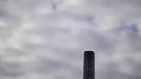 Bird Perched on a Pole 스톡 동영상 74112817