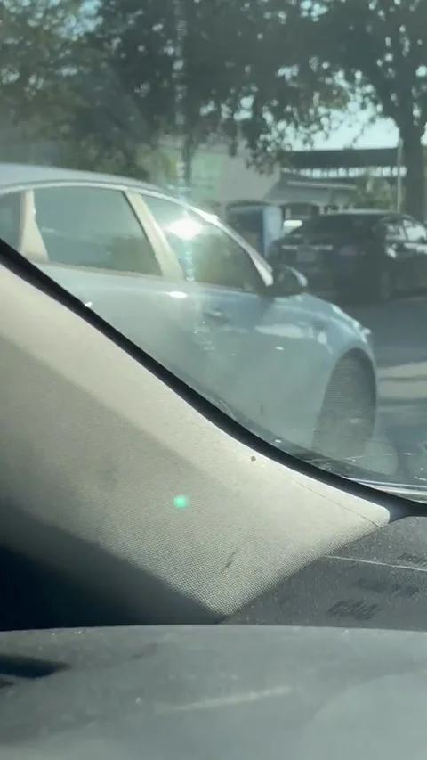 Bird Perches in Front of Driver's Windshield, Brandon, Florida, USA - 17 Jun 202 Video stock 318485411