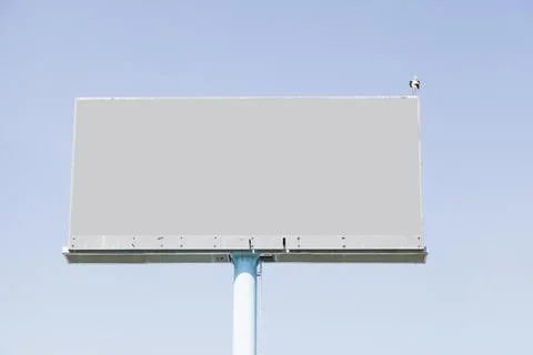 Bird perching empty billboard advertisement against blue sky High resolution 스톡 사진