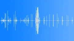 Bird - Peregrine Falcon - Chirping and Chattering pack Sound Effect