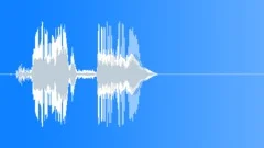 Bird - Peregrine Falcon - Chirping Twice 01 Sound Effect