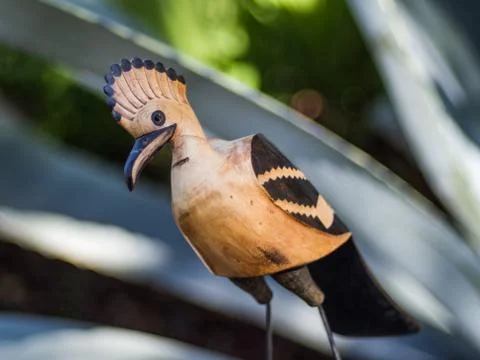 Bird Stock Photos