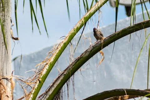 Bird 스톡 사진